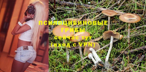 круглые Алексин