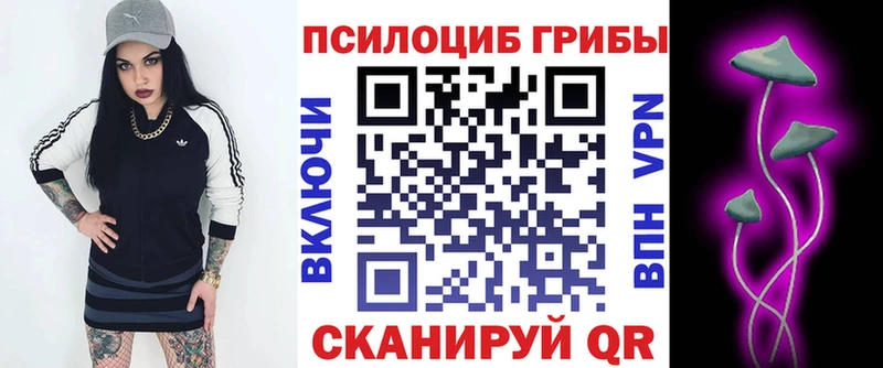 закладки  Дзержинск  мориарти клад  Галлюциногенные грибы Magic Shrooms 