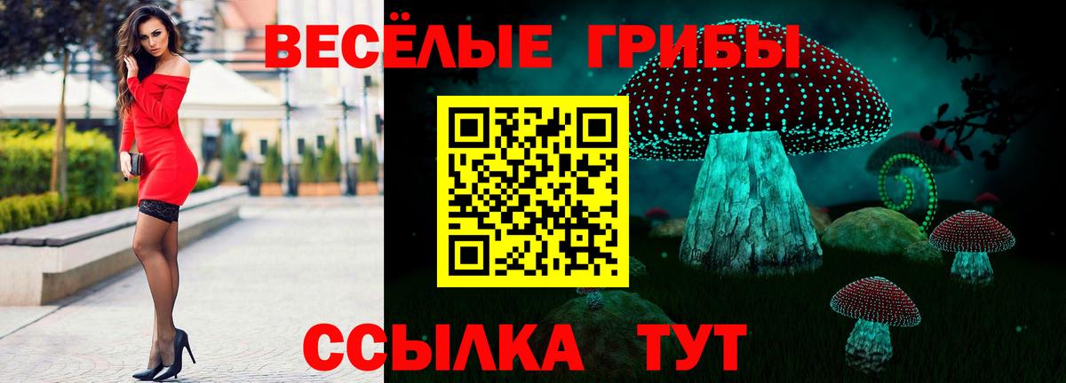 Галлюциногенные грибы Psilocybine cubensis Дзержинск